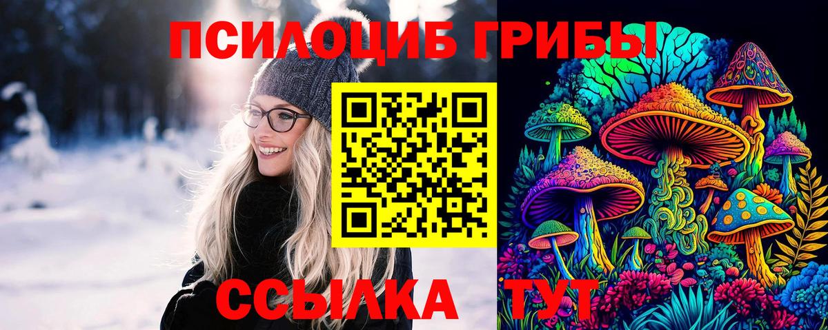 Псилоцибиновые грибы ЛСД Будённовск