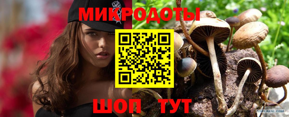 Будённовск  Псилоцибиновые грибы GOLDEN TEACHER  Вход с VPN  наркота  Галлюциногенные грибы прущие грибы 